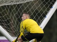 上海海港训练开放日；加时末段复出首秀引欢呼；德甲在即；轮换策略成焦点的简单介绍-九游娱乐网址