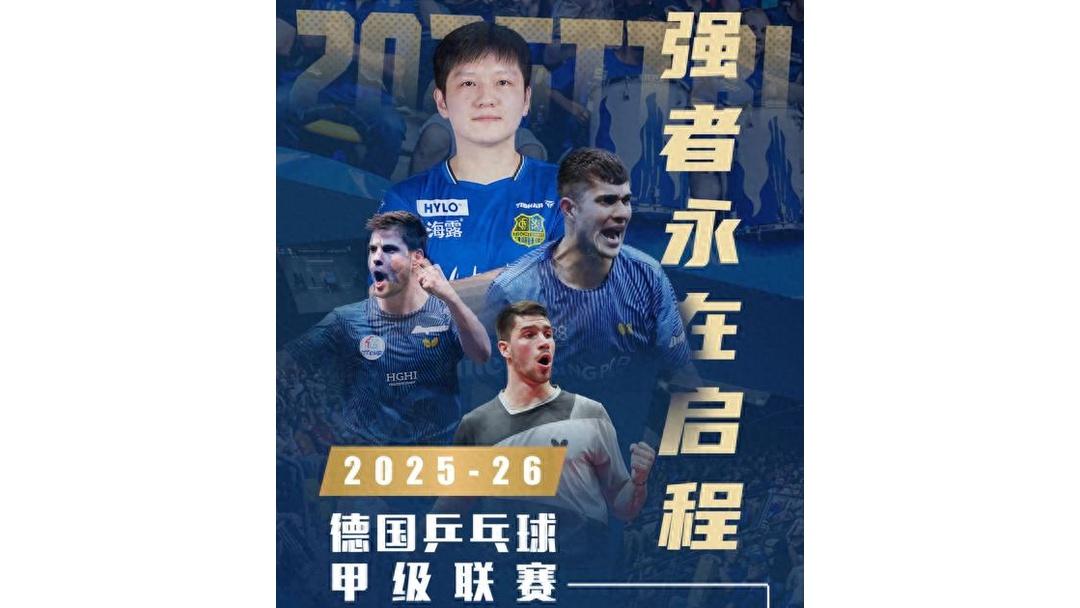 包含赛地聚焦——荷甲清晨热度飙升，多伦多猛龙止住颓势，赛场秩序良好，球探报告显示潜力的词条